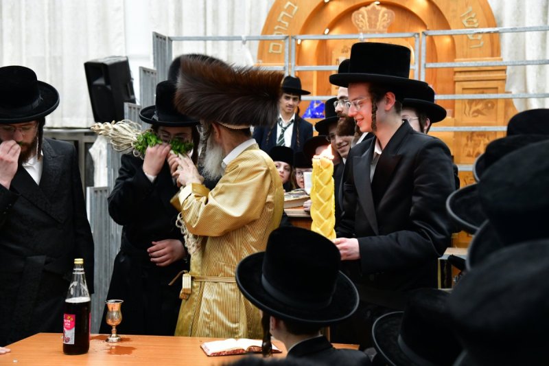 יוסי לוי