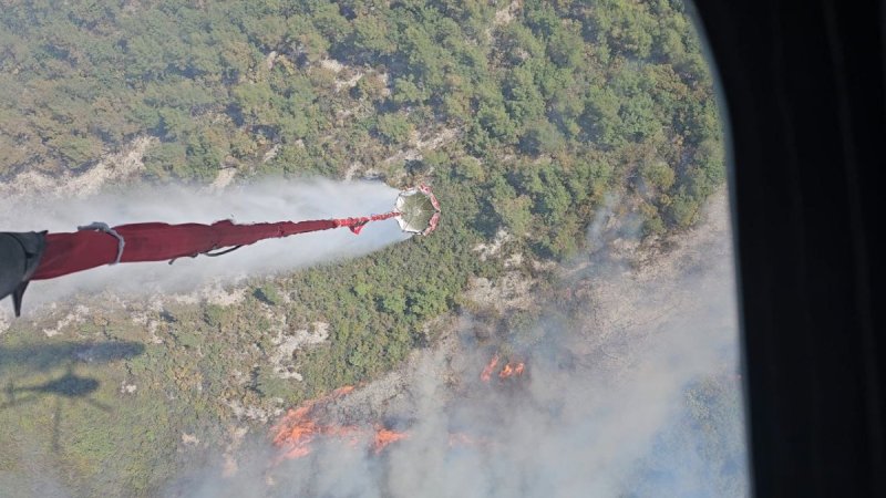 סוכנות הידיעות הסורית הרשמית סאנא