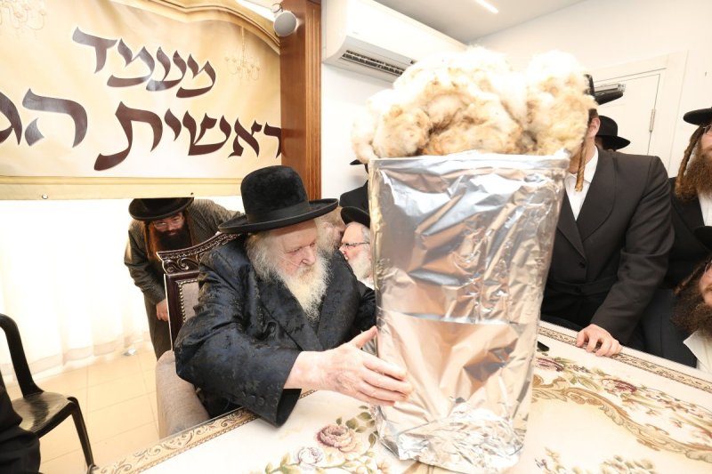 דוד ארזני