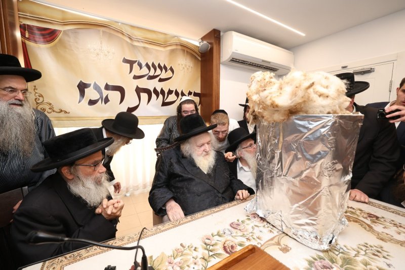 דוד ארזני