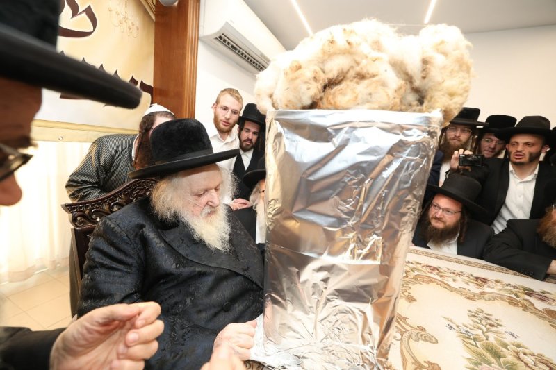 דוד ארזני