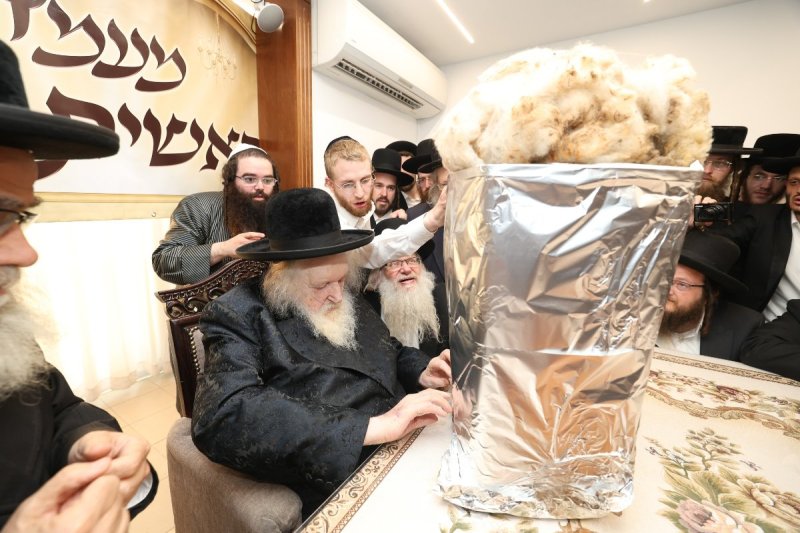 דוד ארזני
