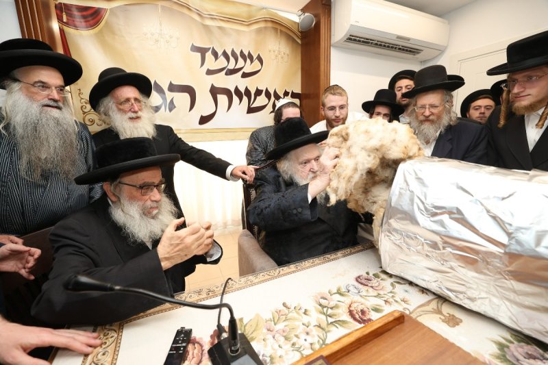 דוד ארזני