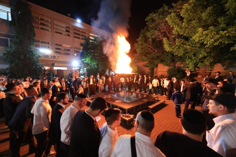אלי קובין