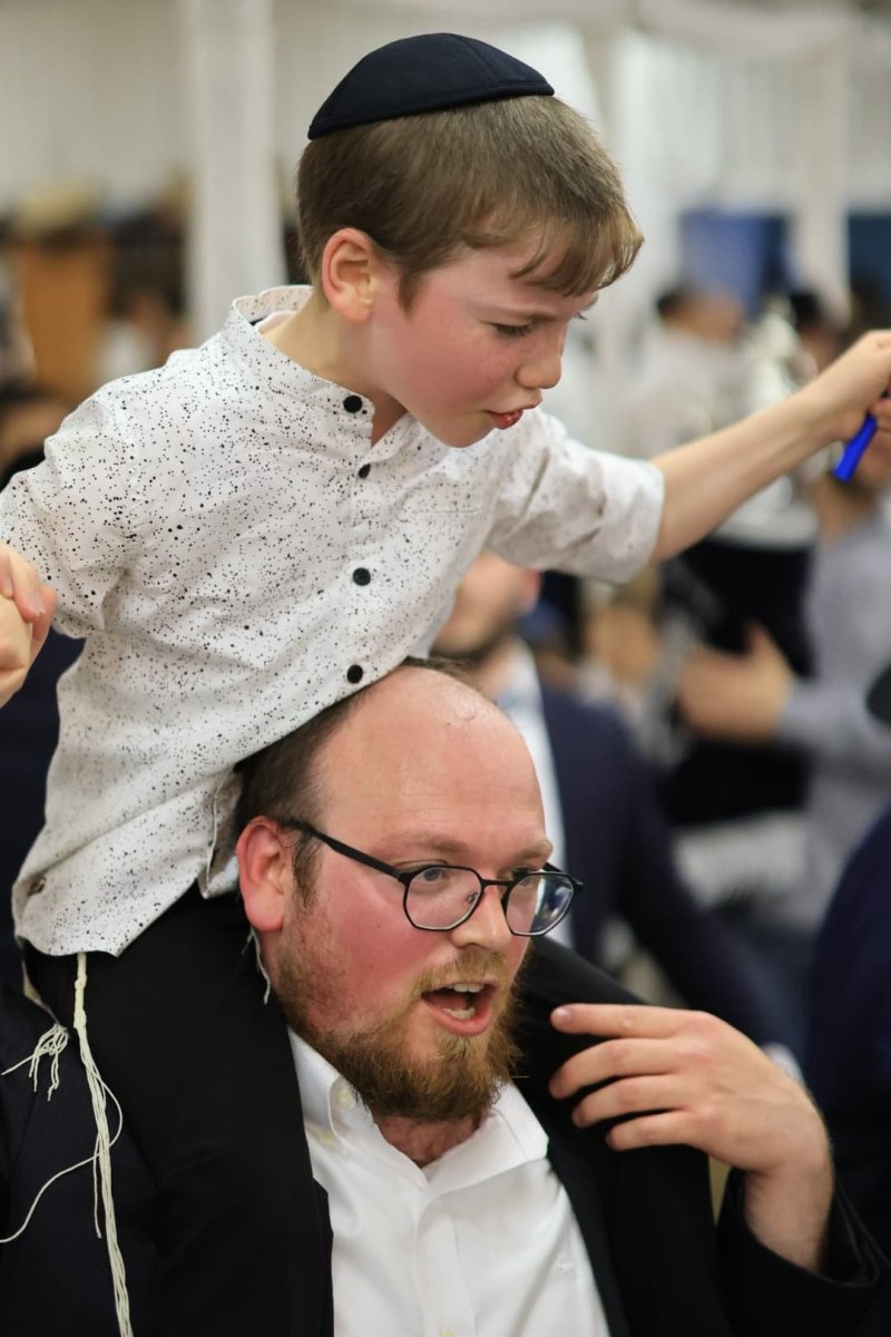 אלי קובין