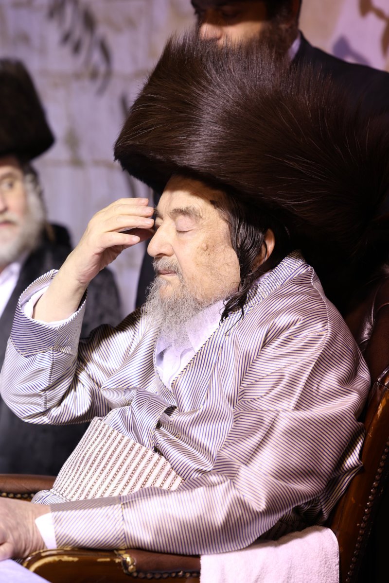דוד ארזני