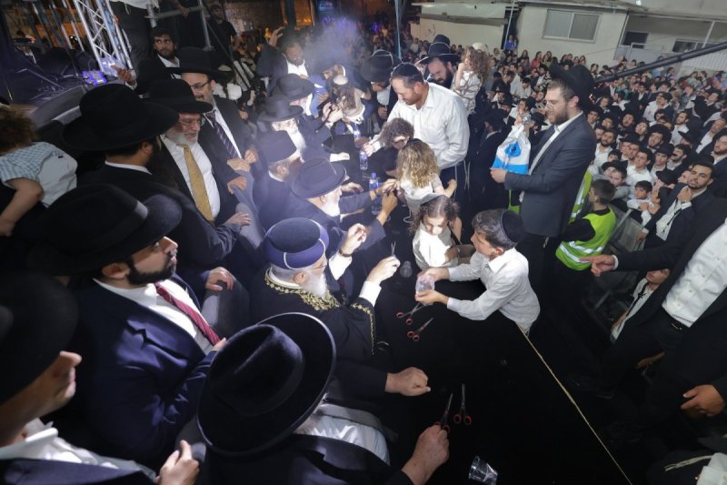 יעקב כהן