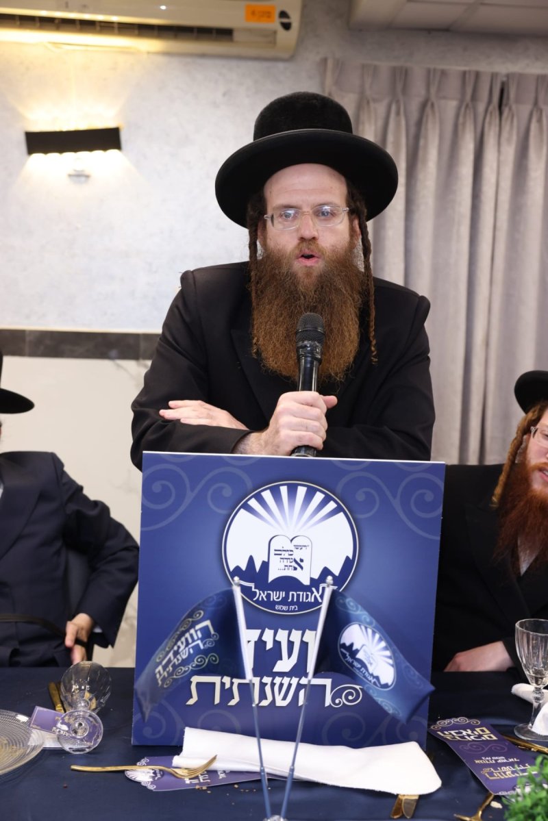 לוי עמית