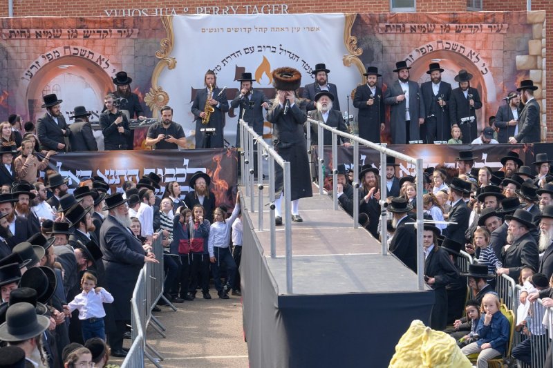 דודי בראון