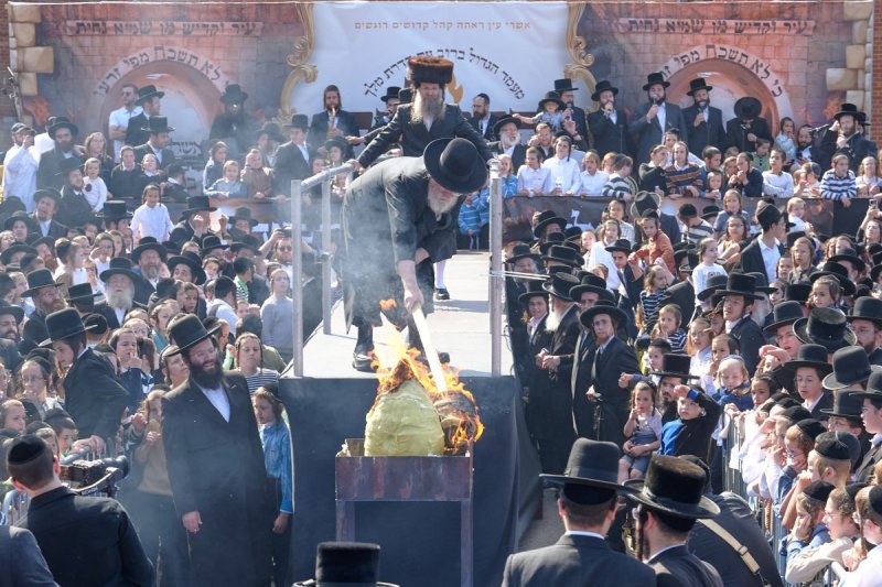 דודי בראון