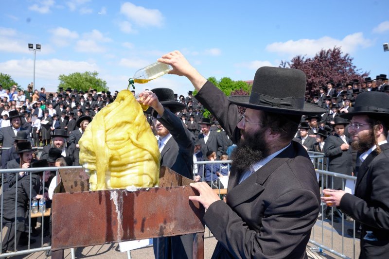 דודי בראון