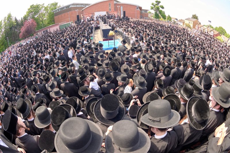דודי בראון