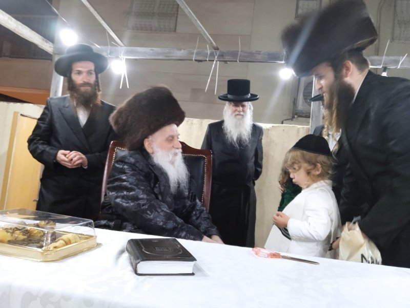 איתי קצב
