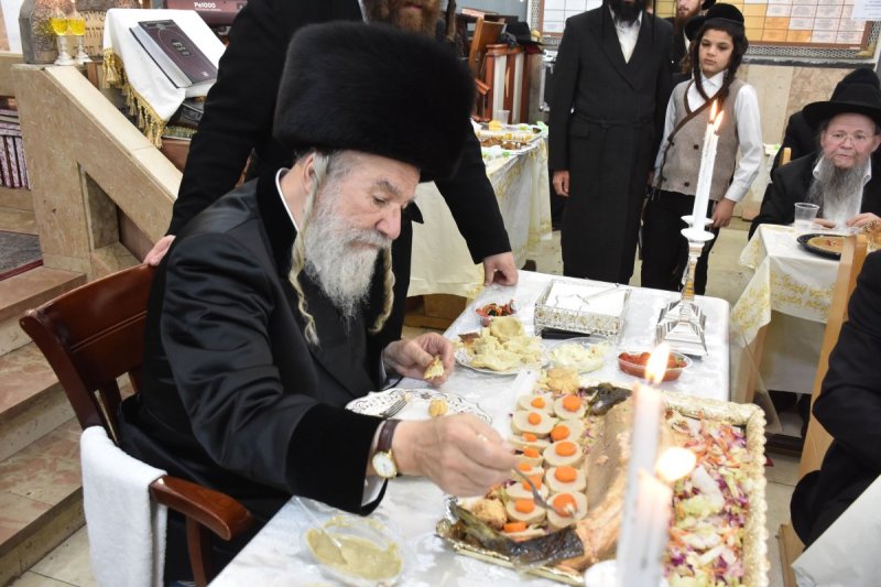 יהודה פרקוביץ