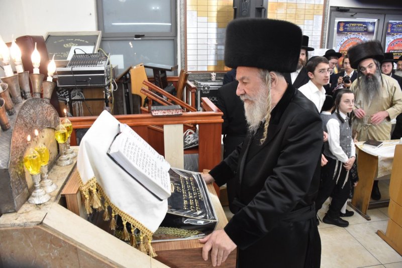יהודה פרקוביץ