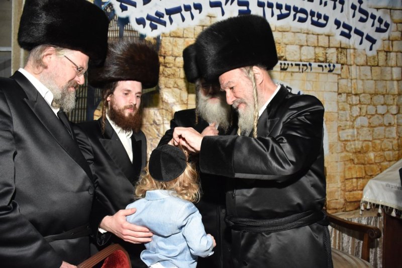 יהודה פרקוביץ