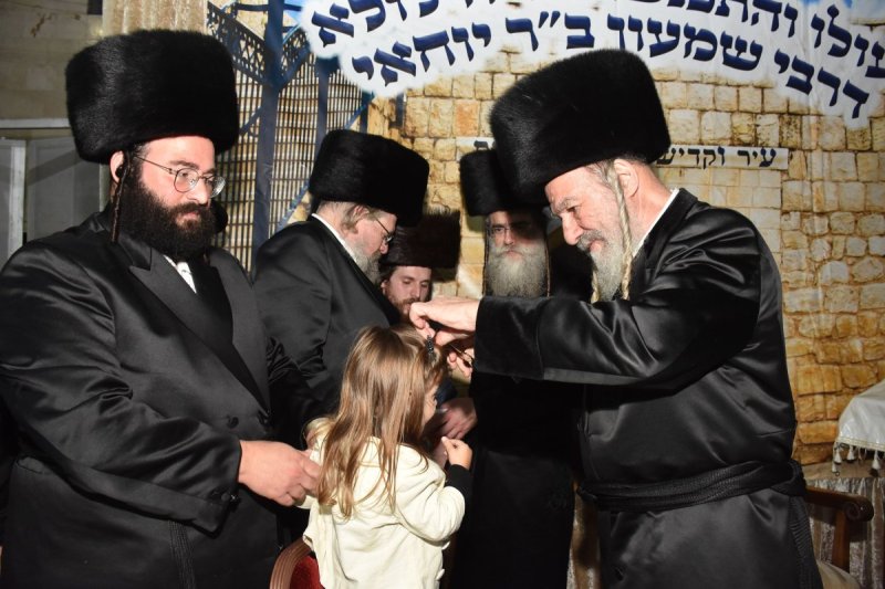 יהודה פרקוביץ