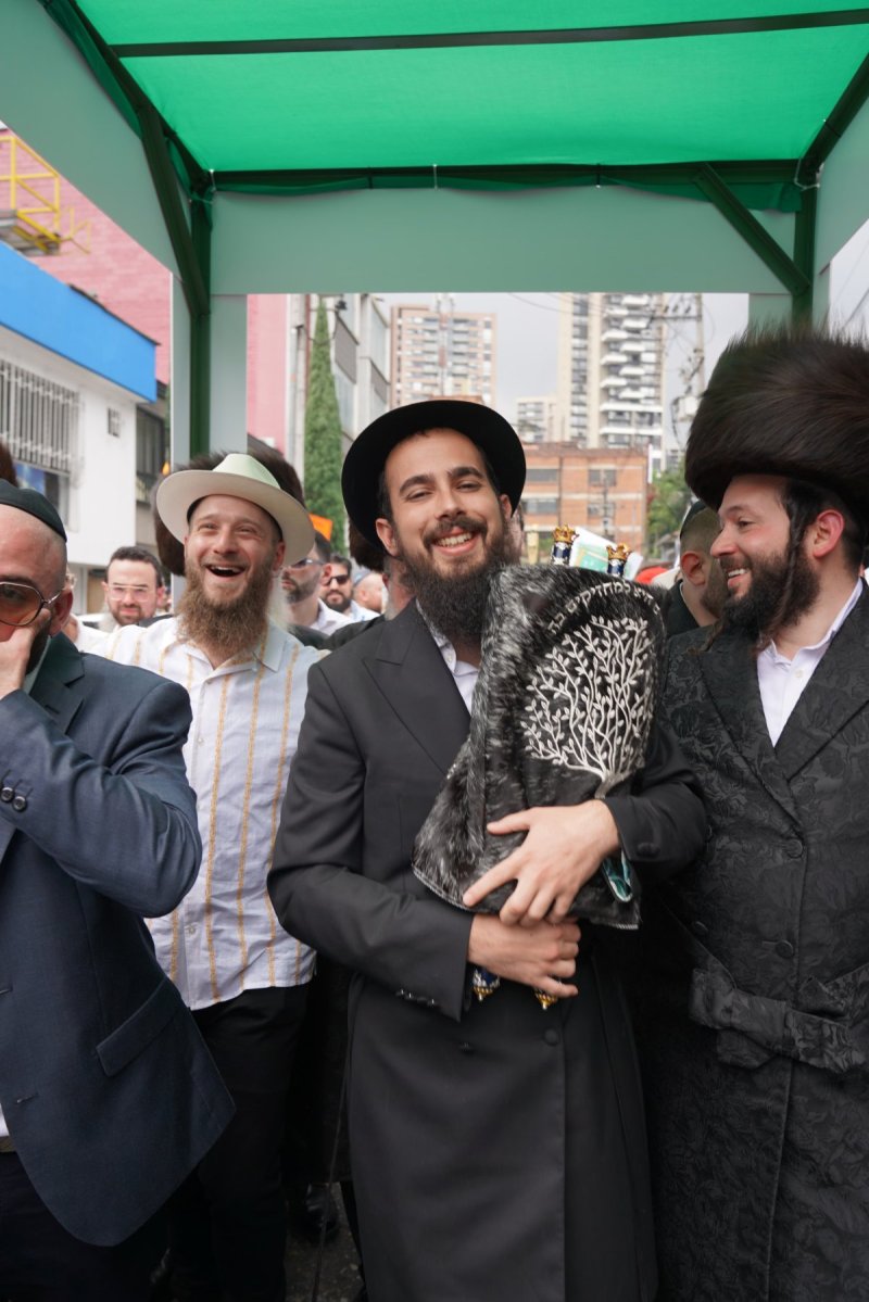  נחמן גולדשטיין