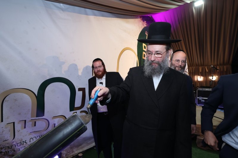 שלומי כהן