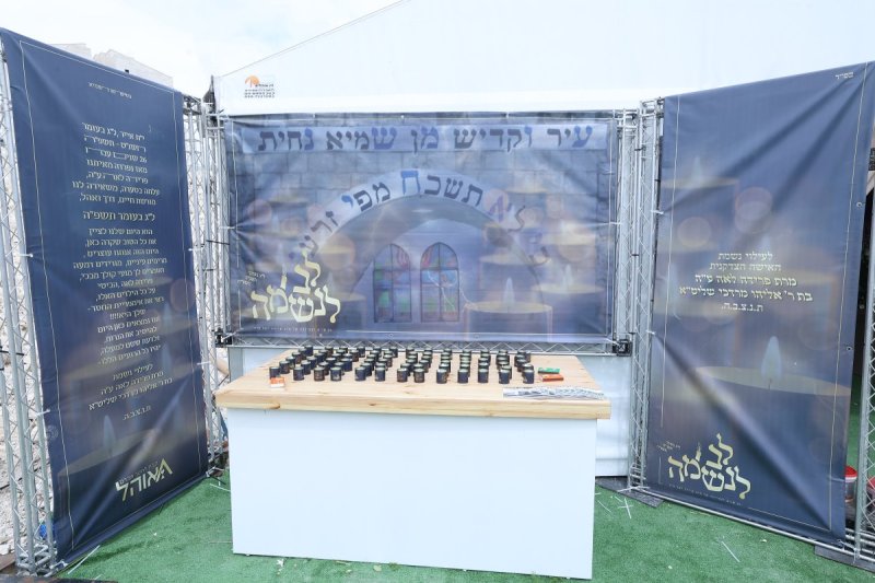 שלומי כהן