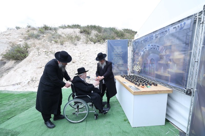 שלומי כהן