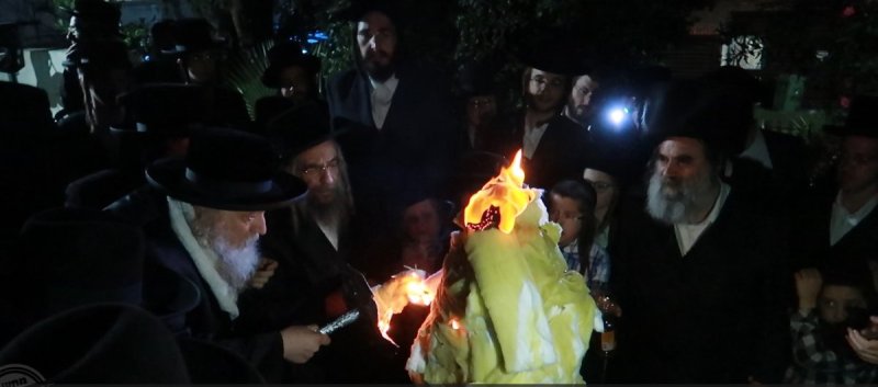 שימי פ.