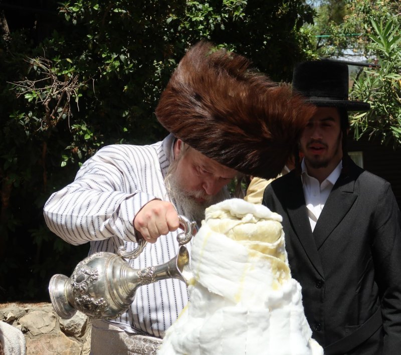 שימי פ.