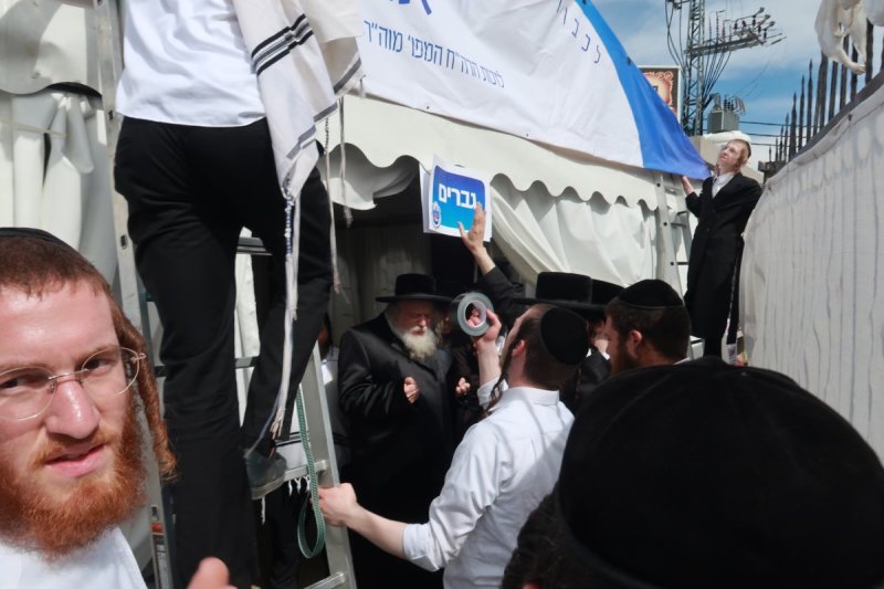 שימי פ.