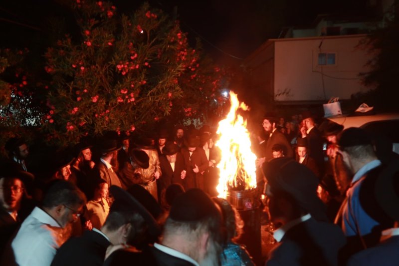 שימי פ.