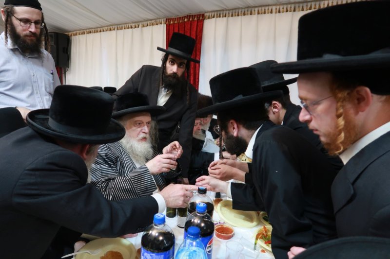 שימי פ.
