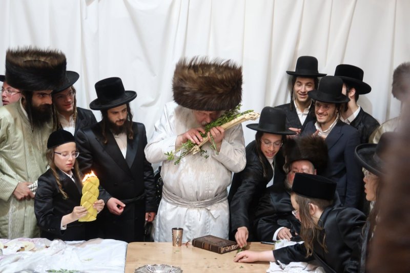 שימי פ.