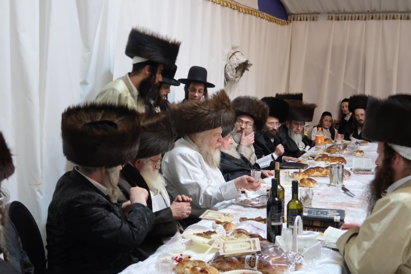 שימי פ.