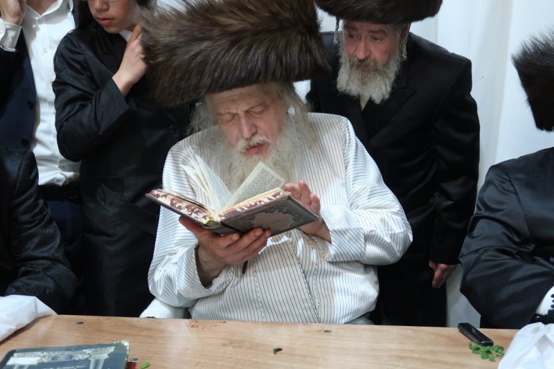 שימי פ.