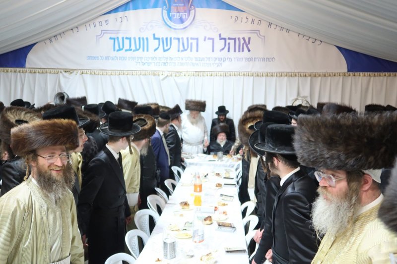 שימי פ.