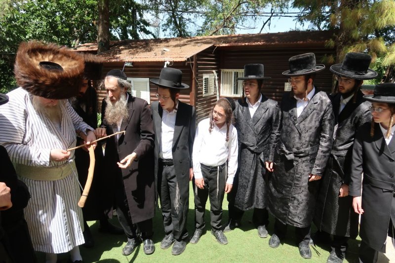 שימי פ.