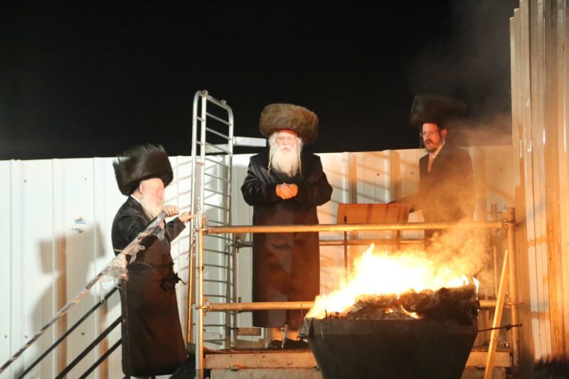 דוד קשת