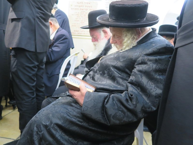 מ. אדלר