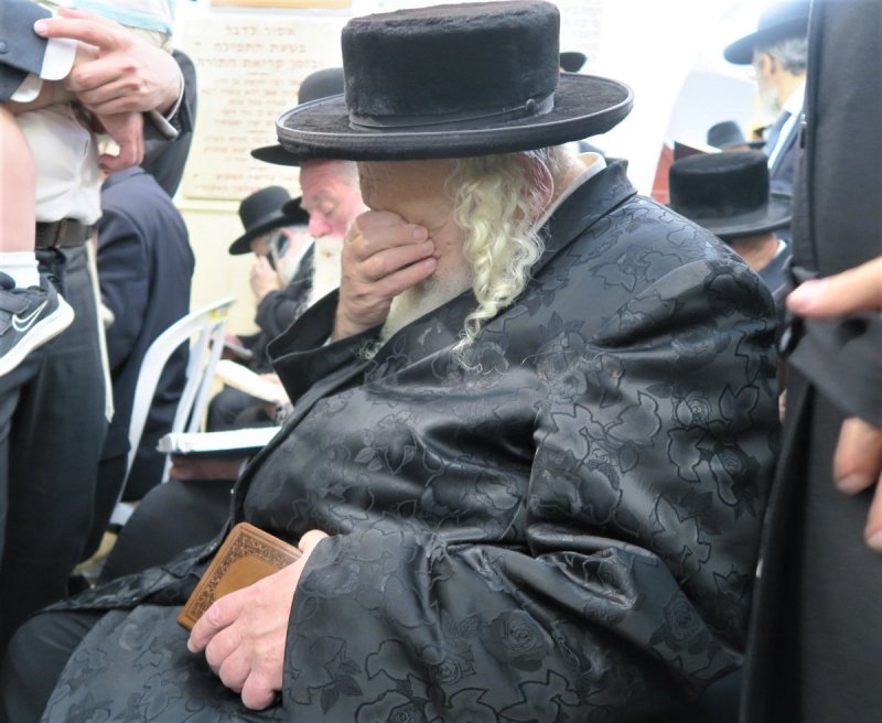 מ. אדלר