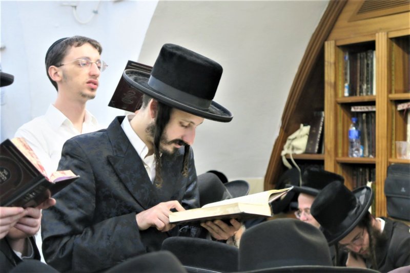 מ. אדלר