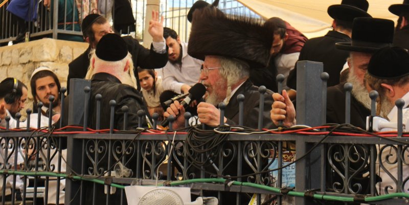 מ. אדלר