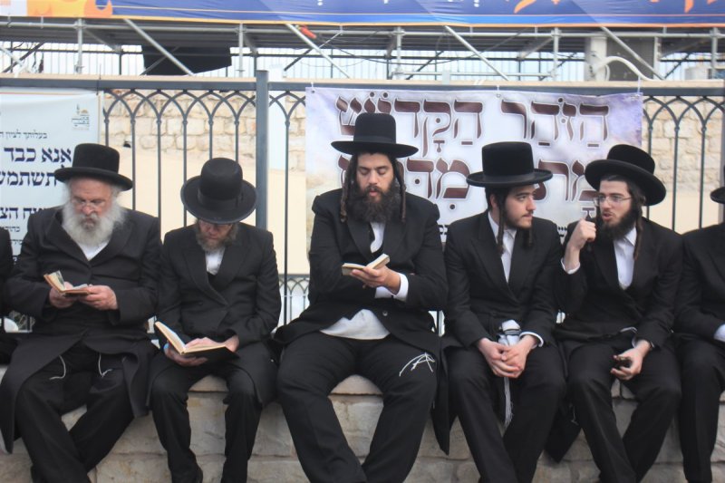 מ. אדלר