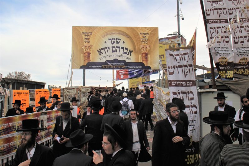 מ. אדלר
