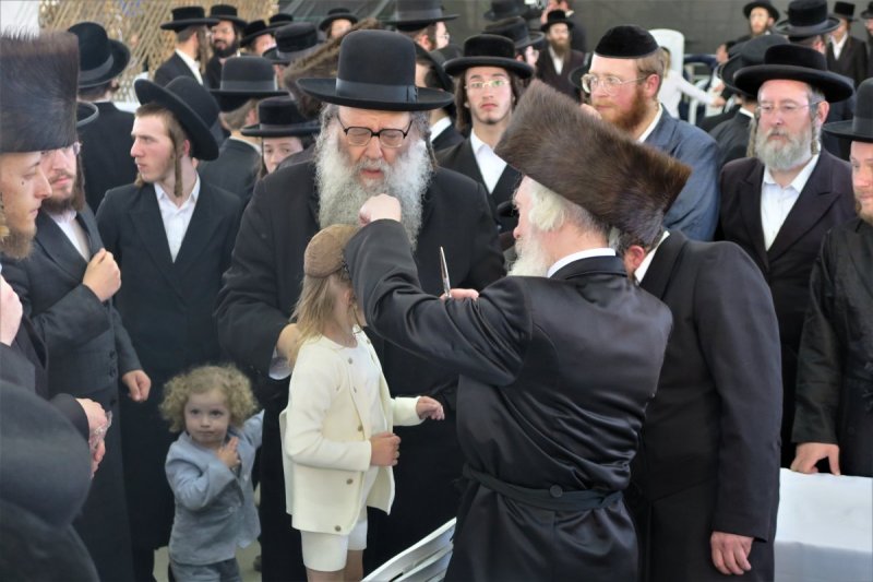 מ. אדלר