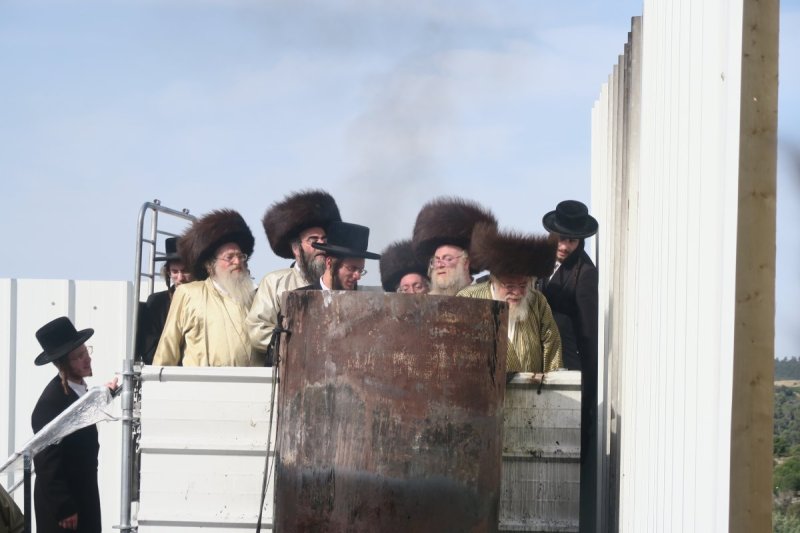 מ. אדלר