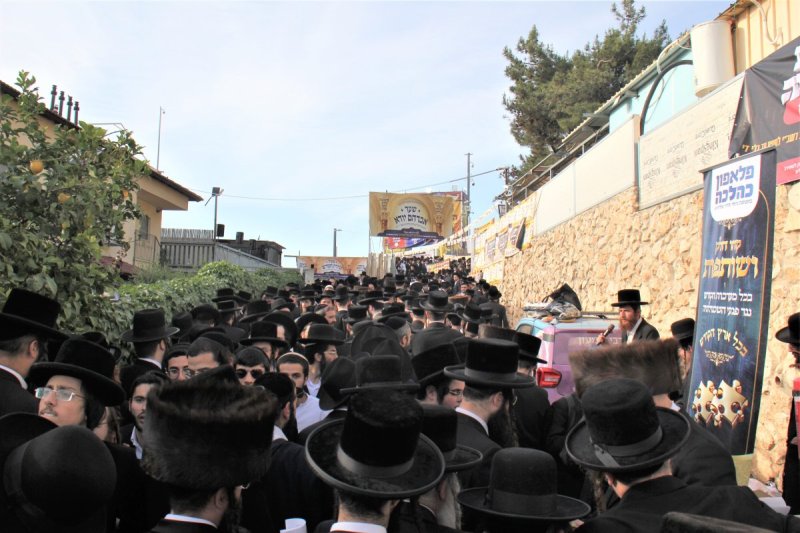 מ. אדלר