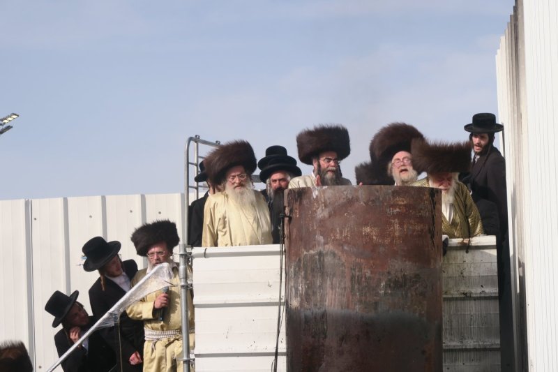 מ. אדלר