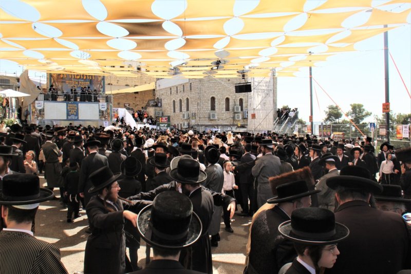 מ. אדלר