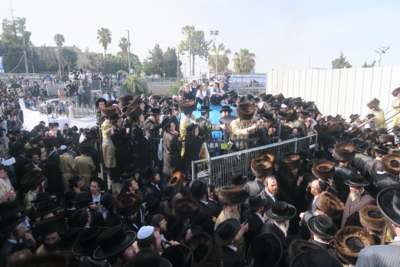 מ. אדלר
