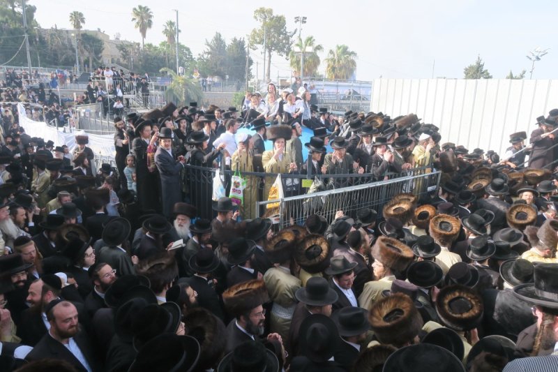 מ. אדלר