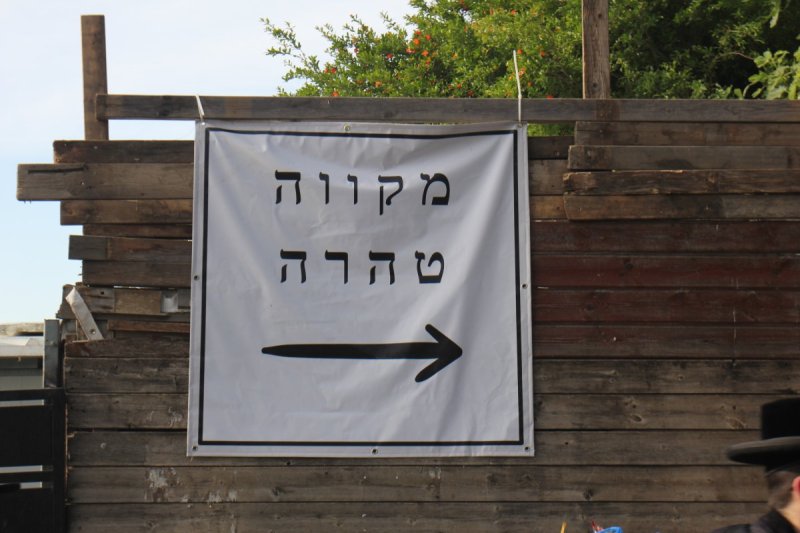 מ. אדלר